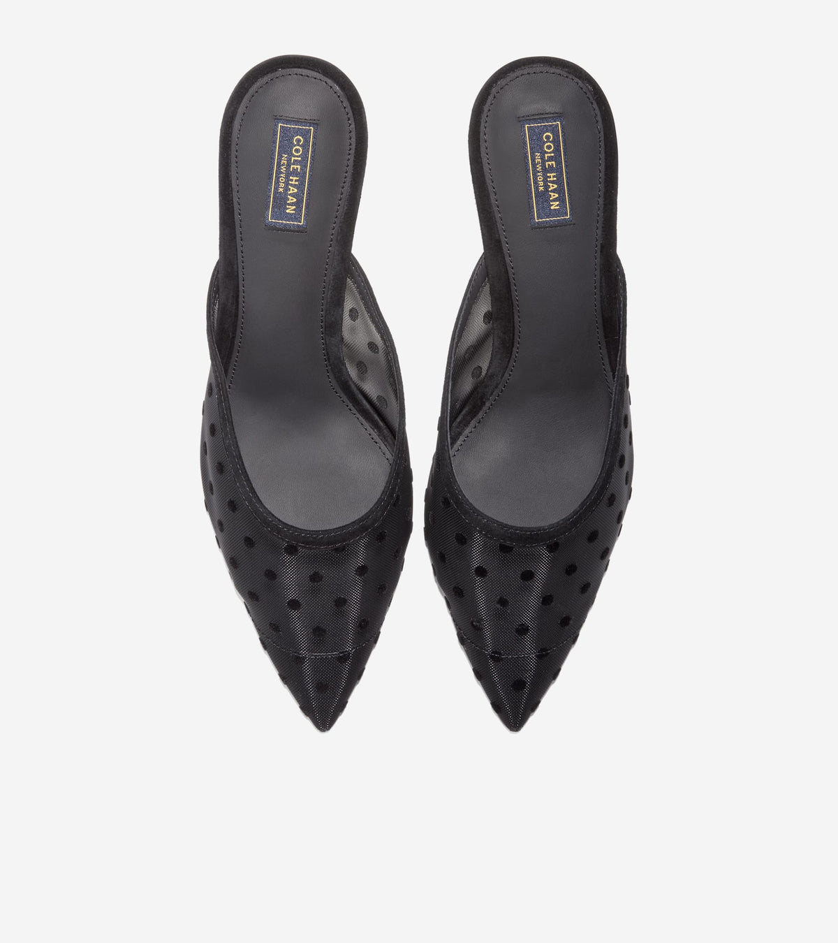 W37952:BLACK POLKA DOT MESH / BLACK SUEDE
