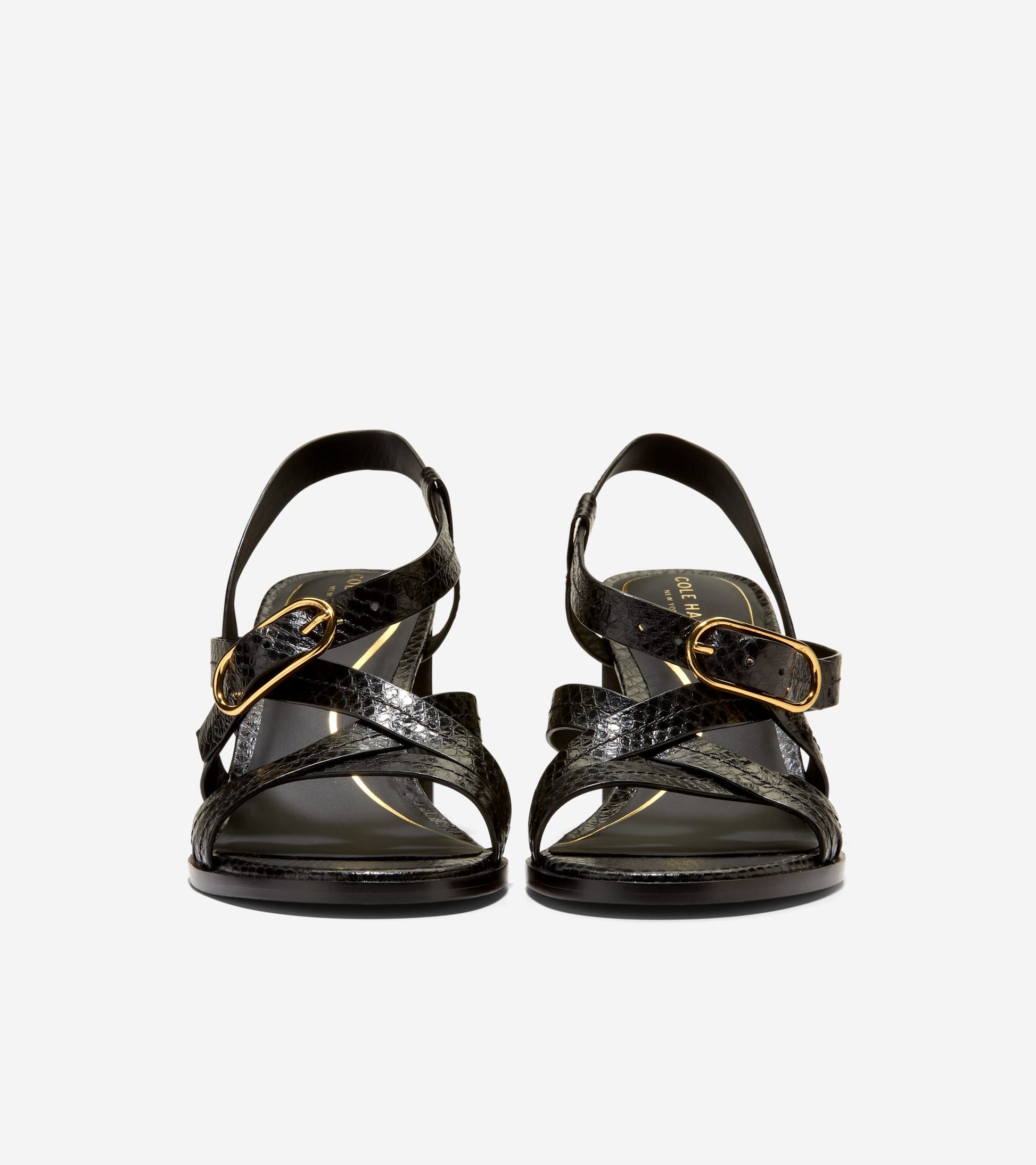 W36934:BLACK GLOSSY SNAKE PRINT LTHR