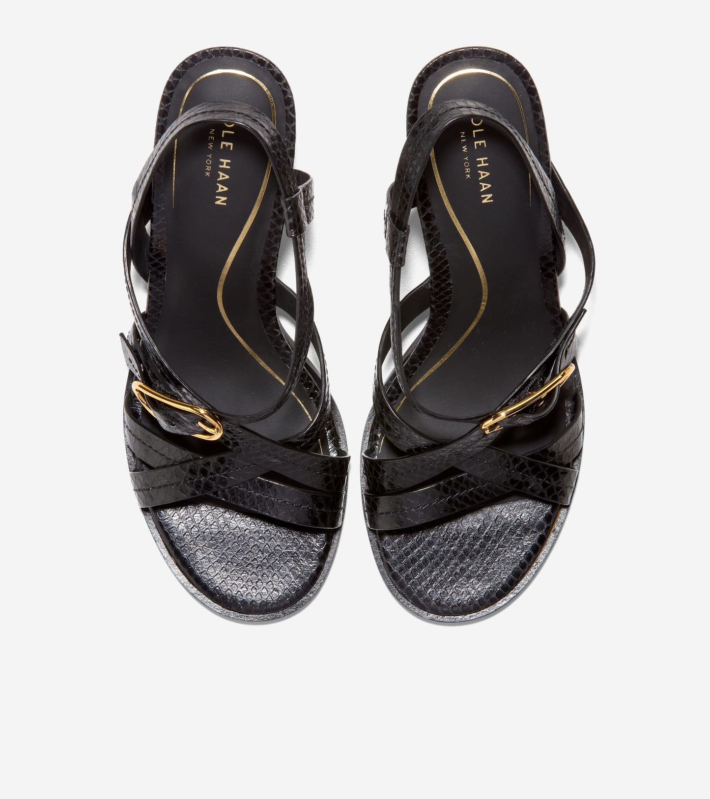 W36934:BLACK GLOSSY SNAKE PRINT LTHR