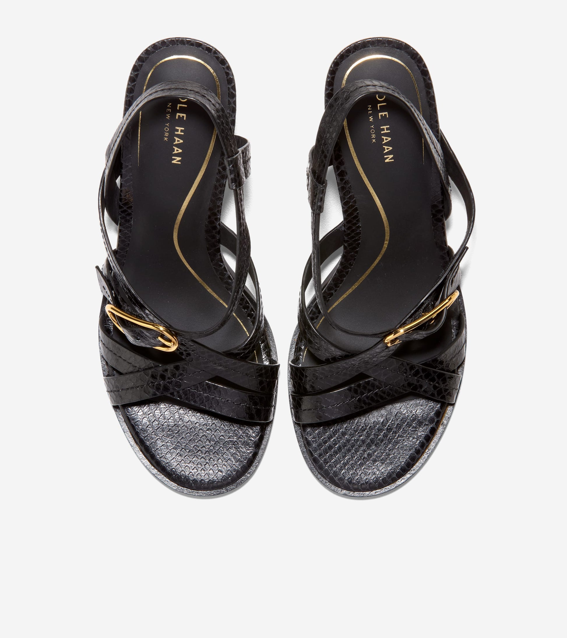 W36934:BLACK GLOSSY SNAKE PRINT LTHR