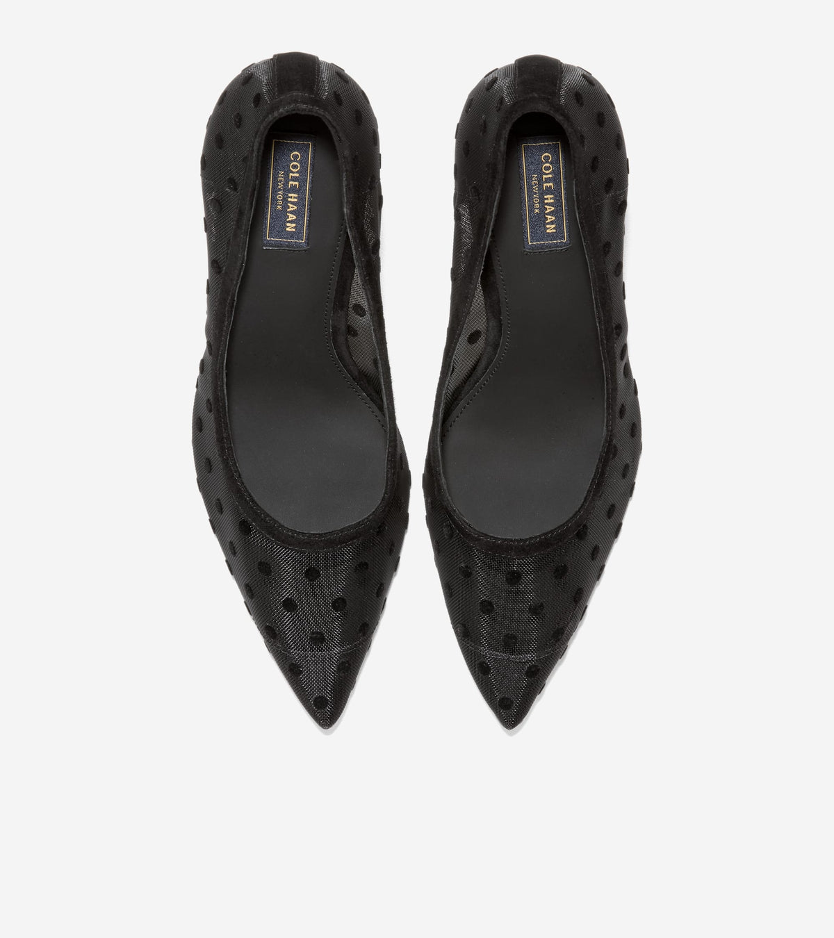 W37947:BLACK POLKA DOT MESH / BLACK SUEDE