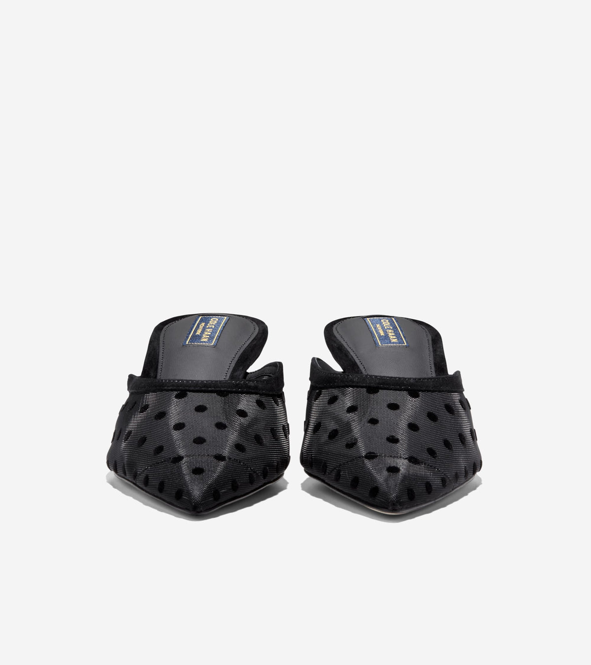 W37952:BLACK POLKA DOT MESH / BLACK SUEDE
