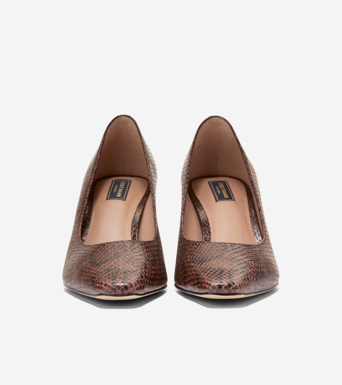 W37099:CH HICKORY GLOSSY SNAKE PRINT LEATHER