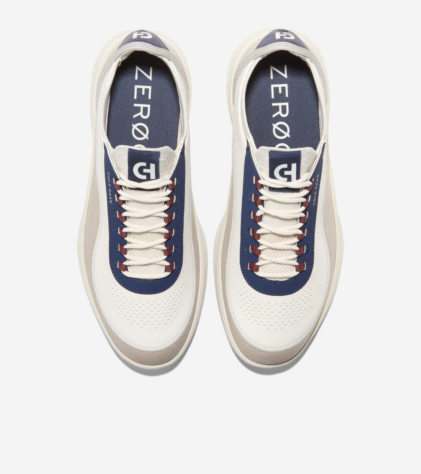 C43170:PALOMA / CH MIDNIGHT MOON / SILVER BIRCH