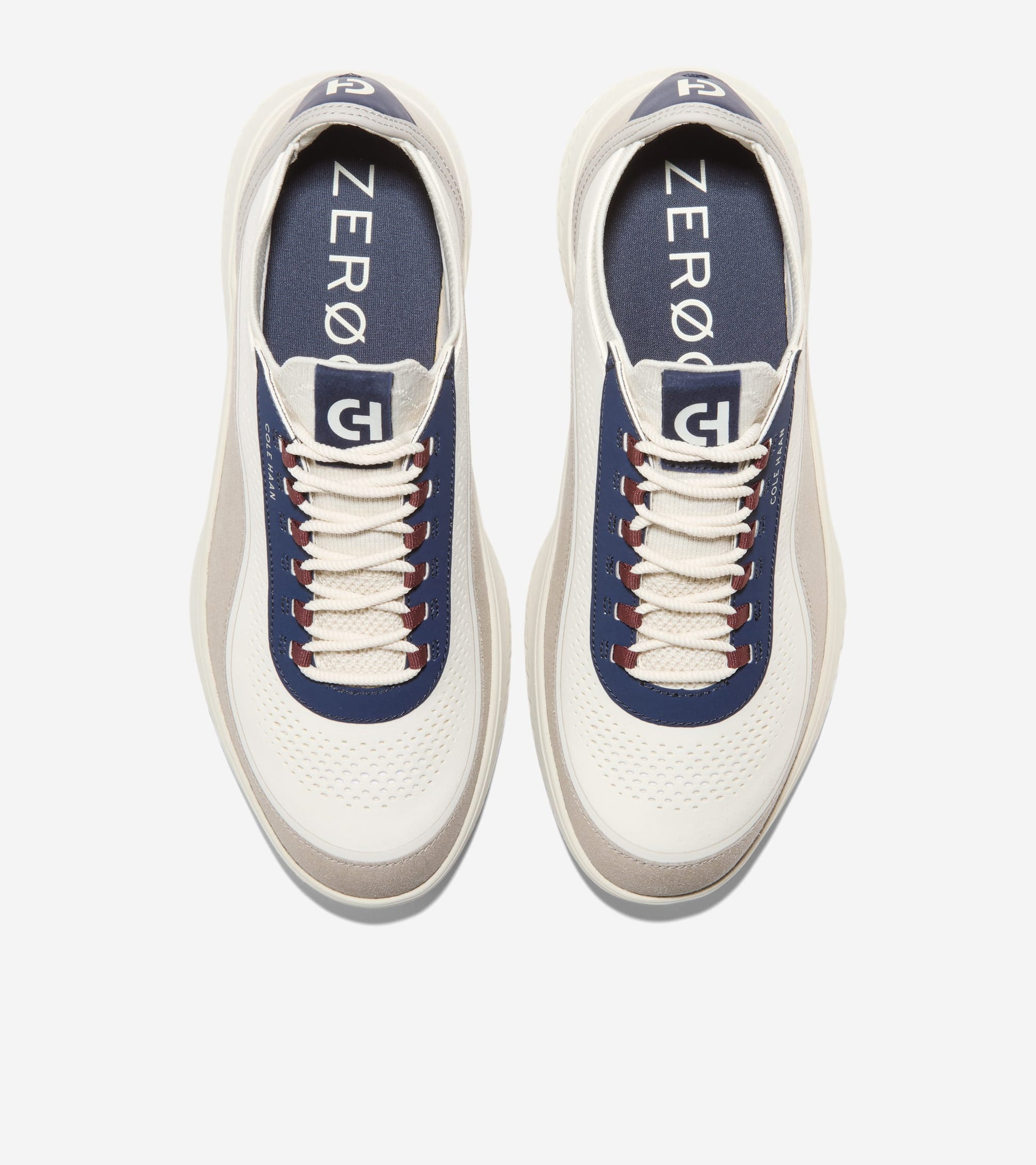 C43170:PALOMA / CH MIDNIGHT MOON / SILVER BIRCH