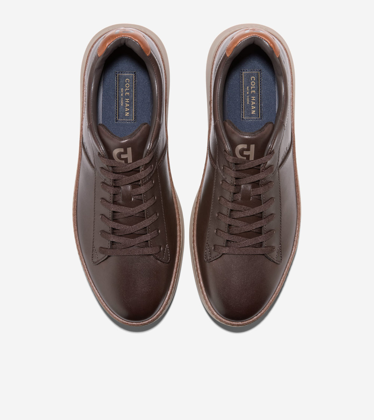 C45286:CH DARK CHOCOLATE / CH BRITISH TAN / CH IRISH COFFEE