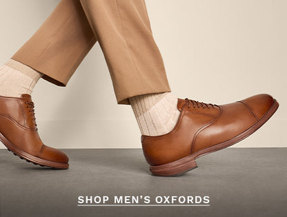 New Arrivals for the season